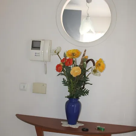 Le Must ! Admiral Plaza *