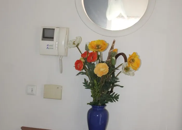 Le Must ! Admiral Plaza *